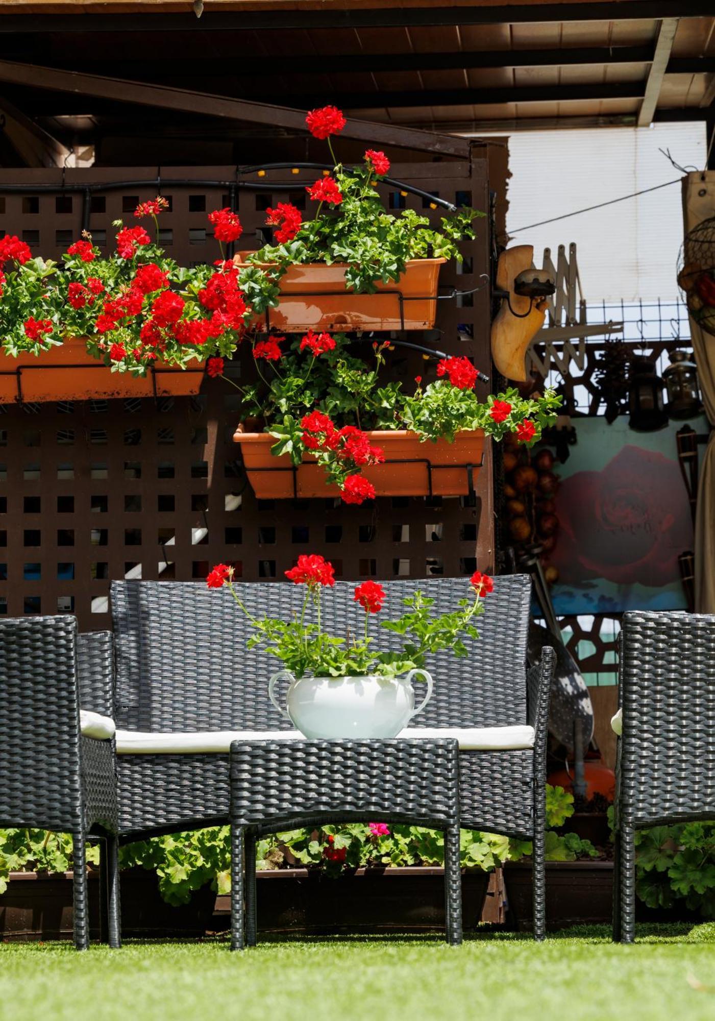 El Refugio Apartment Fuenmayor Екстериор снимка